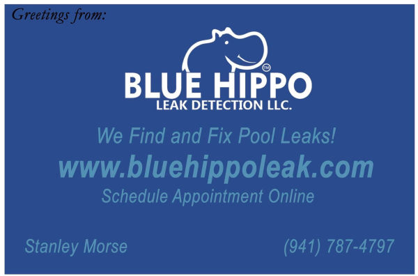 Blue Hippo Leak Detection